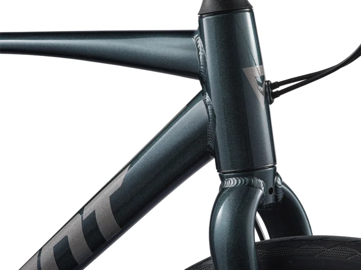 2025 Giant Escape Disc 2