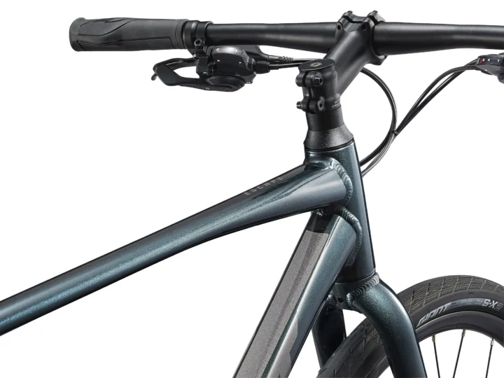 2025 Giant Escape Disc 2