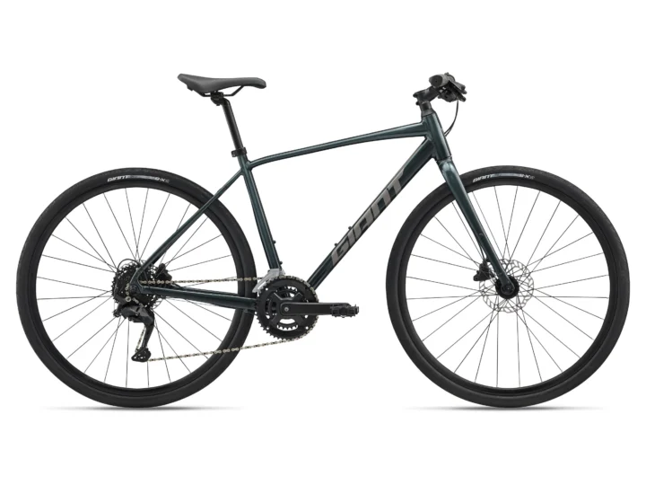 2025 Giant Escape Disc 2