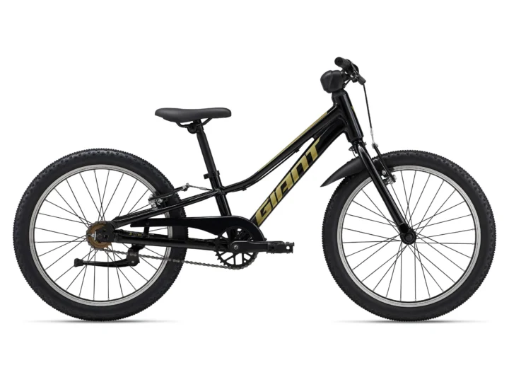 2025 Giant Talon 20 SS