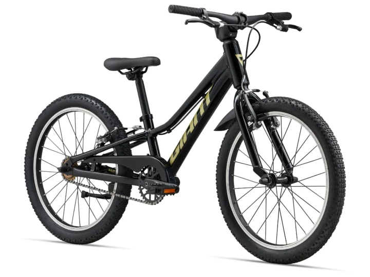 2025 Giant Talon 20 SS