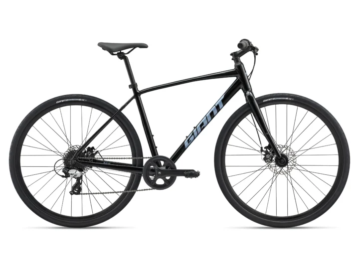 2025 Giant Escape Disc 4