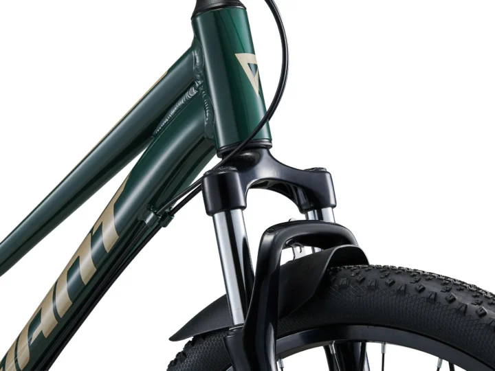 2025 Giant Talon 24 Disc