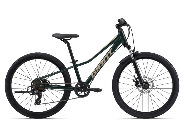 2025 Giant Talon 24 Disc