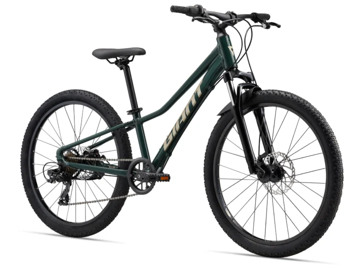 2025 Giant Talon 24 Disc