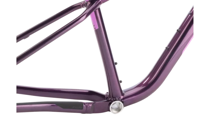 2026 Salsa Timberjack Frame