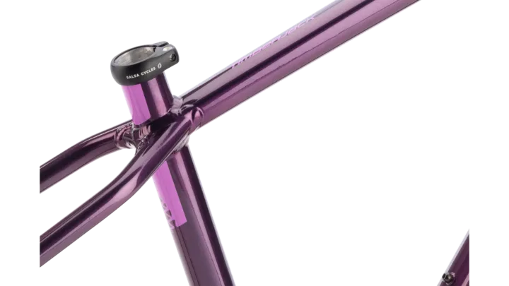 2026 Salsa Timberjack Frame