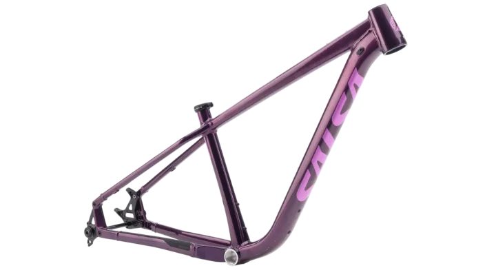 2026 Salsa Timberjack Frame