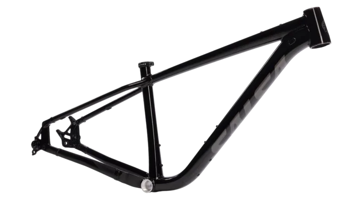 2026 Salsa Timberjack Frame