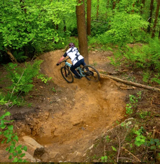2026 Marin Alpine Trail 2