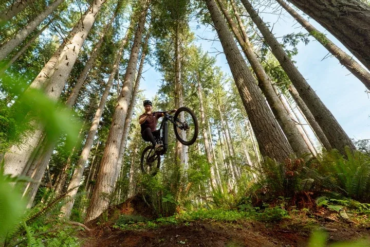2026 Marin Alpine Trail E2