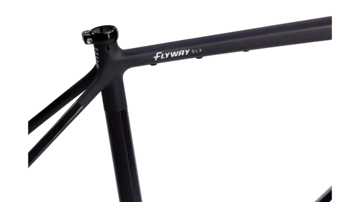 2026 Salsa Flyway C DLX Frameset