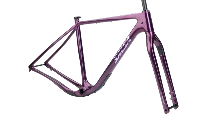 2026 Salsa Cutthroat C Frameset
