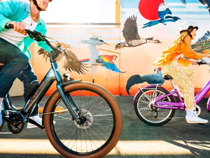 2026 Electra Townie Go! S
