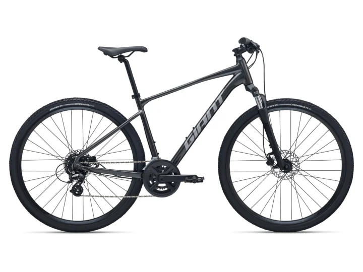 2026 Giant Roam 4
