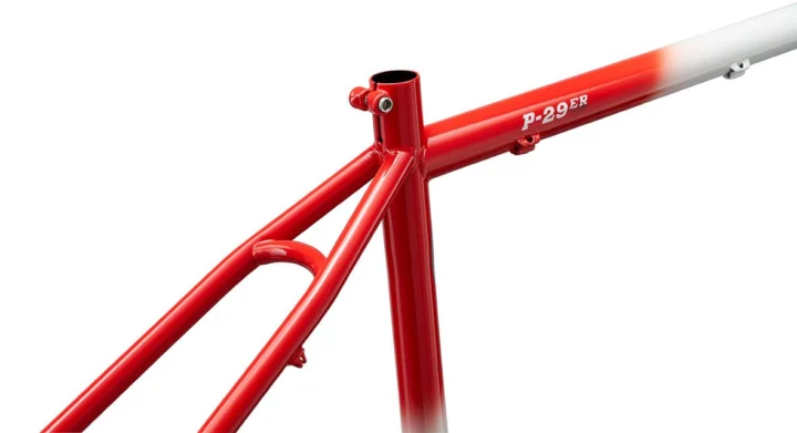 Ritchey P-29er Frame